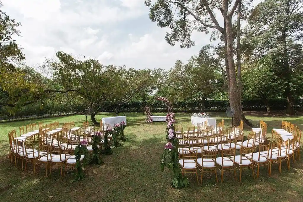 THE GARDEN 1