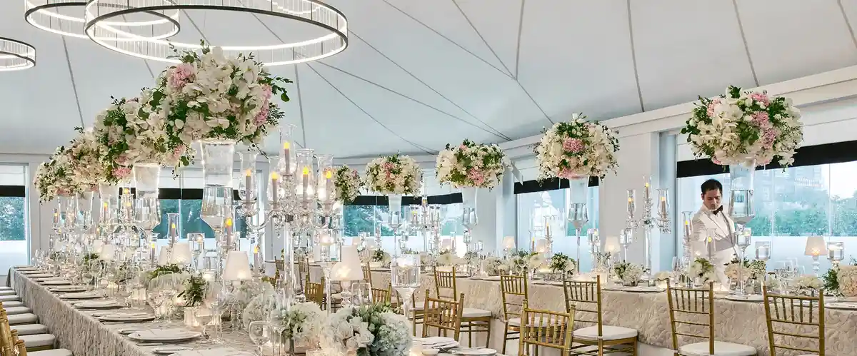 The Canopy 1