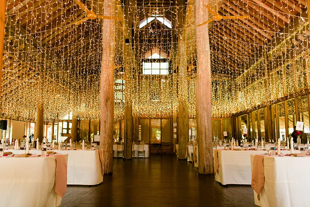 Tanarimba Janda Baik 6